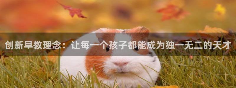 天狮娱乐会员：创新早教理念：让每一个孩子都能成为独一无二的天才