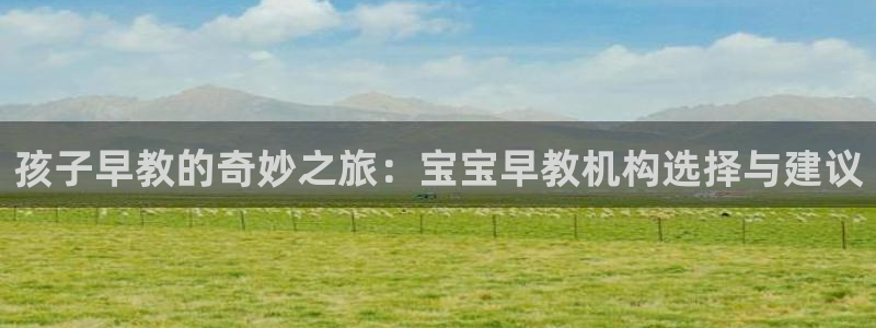 天狮娱乐嘉扣 o：孩子早教的奇妙之旅：宝宝早教机构选择与建议