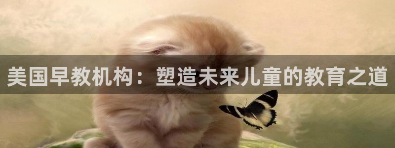 天狮娱乐q：美国早教机构：塑造未来儿童的教育之道