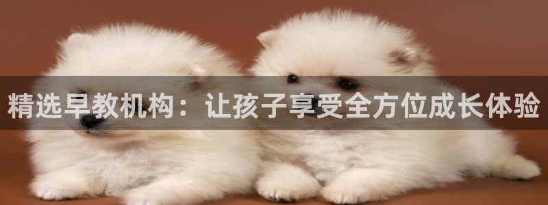 天狮娱乐可以赚钱吗：精选早教机构：让孩子享受全方位成长体验