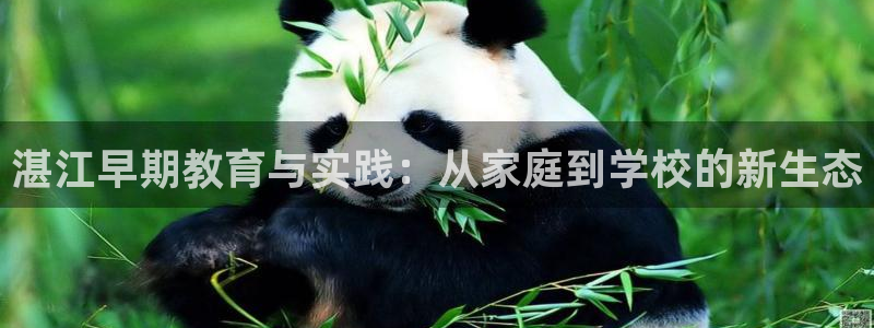 天狮娱乐 b主管61166：湛江早期教育与实践：从家庭到学校的新生态