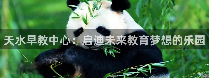 天狮娱乐去：天水早教中心：启迪未来教育梦想的乐园