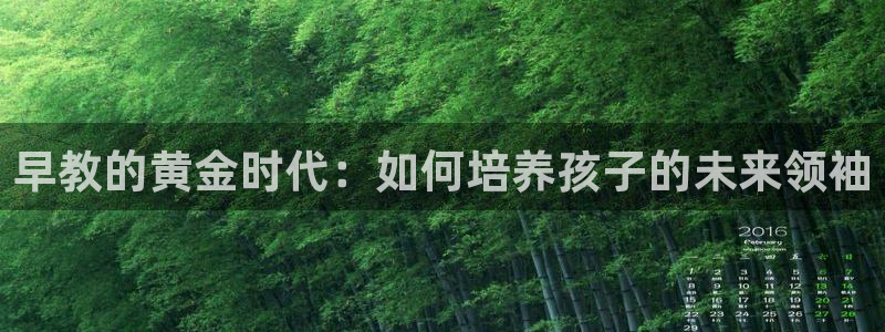 天狮娱乐官网登录地址：早教的黄金时代：如何培养孩子的未来领袖