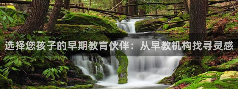 天狮娱乐股东39869：选择您孩子的早期教育伙伴：从早教机构找寻灵感