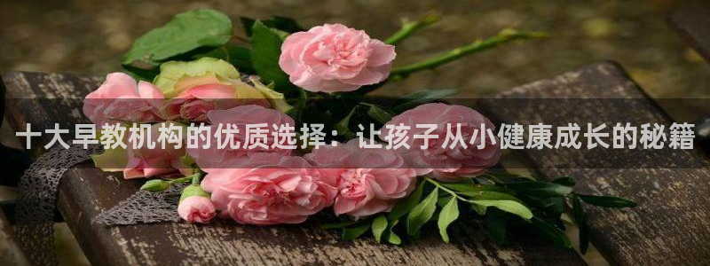 天狮娱乐平台多久：十大早教机构的优质选择：让孩子从小健康成长的秘籍