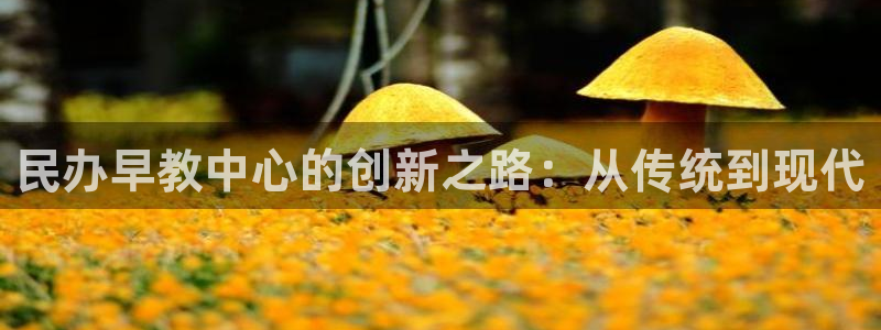 天狮娱乐彩票合法吗:民办早教中心的创新之路:从传统到现代