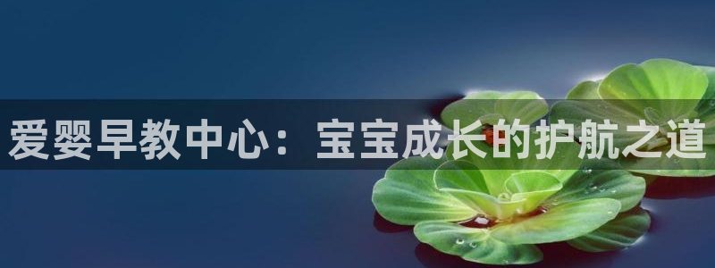 天狮娱乐彩票app:爱婴早教中心:宝宝成长的护航之道