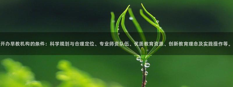 天狮娱乐指尖下载安装:开办早教机构的条件:科学规划与合理定位、专业师资队伍、优质