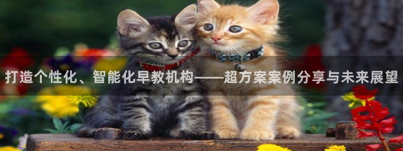 天狮娱乐平台作弊:打造个性化、智能化早教机构——超方案案例分享与未来展望