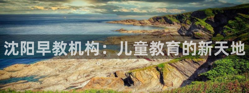 天狮娱乐玩法:沈阳早教机构:儿童教育的新天地