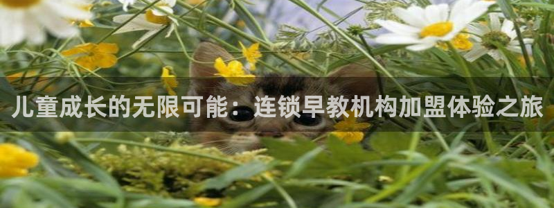 天狮娱乐主管66六26:儿童成长的无限可能:连锁早教机构加盟体验之旅