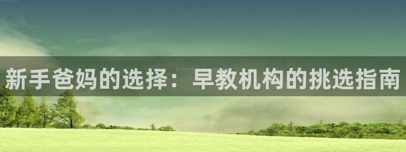 龙湖狮山天街苏州娱乐:新手爸妈的选择:早教机构的挑选指南