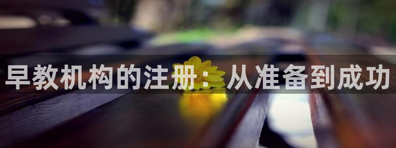 天狮娱乐i 判官:早教机构的注册:从准备到成功