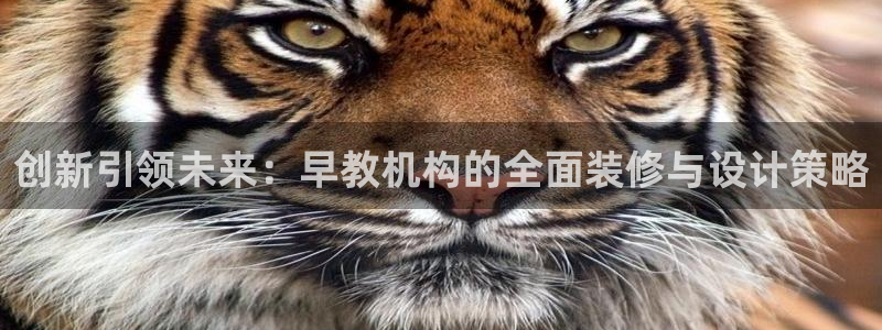 天狮娱乐强哥:创新引领未来:早教机构的全面装修与设计策略