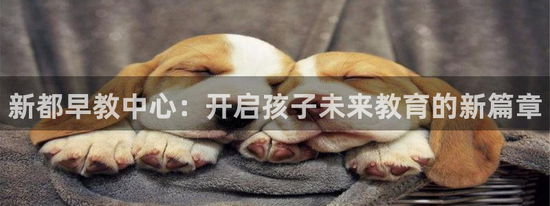 天狮娱乐Q 78139老板:新都早教中心:开启孩子未来教育的新篇章