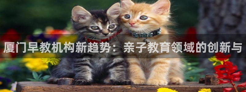 天狮娱乐縕不稳当:厦门早教机构新趋势:亲子教育领域的创新与