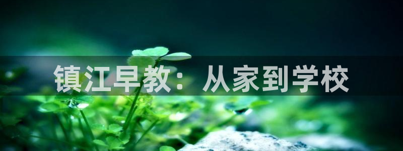 天狮娱乐84374 巅峰h:镇江早教:从家到学校