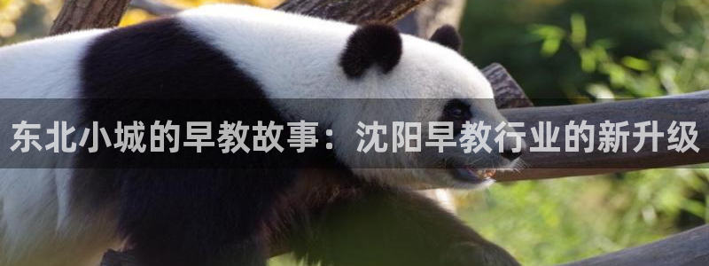 天狮娱乐平台多久:东北小城的早教故事:沈阳早教行业的新升级