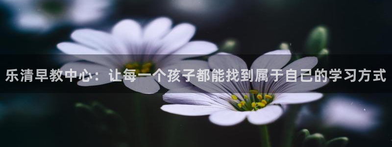 天狮娱乐怎么注册:乐清早教中心:让每一个孩子都能找到属于自己的学习方式