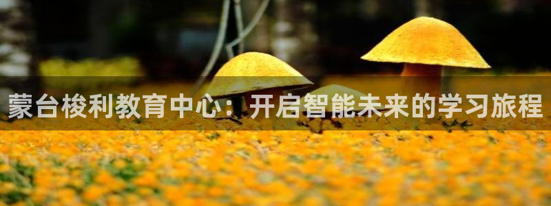 天狮娱乐分分彩:蒙台梭利教育中心:开启智能未来的学习旅程