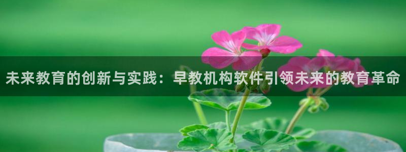 天狮娱乐谁在玩：未来教育的创新与实践：早教机构软件引领未来的教育革命