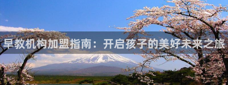 天狮娱乐指尖自：早教机构加盟指南：开启孩子的美好未来之旅