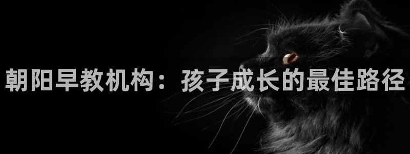 天狮娱乐：朝阳早教机构：孩子成长的最佳路径