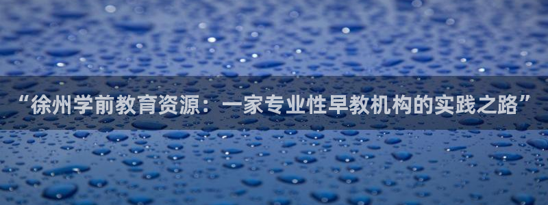天狮娱乐是黑台子吗：“徐州学前教育资源：一家专业性早教机构的实践之路”