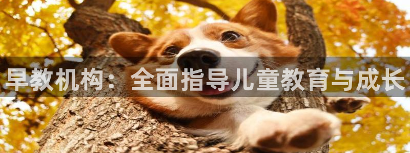 天狮娱乐叶哥：早教机构：全面指导儿童教育与成长