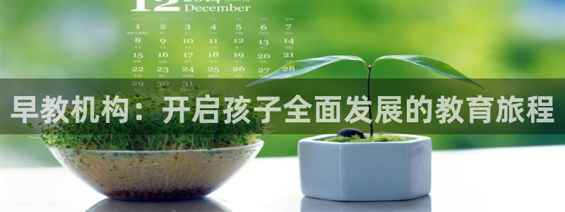 天狮娱乐33673 q实力：早教机构：开启孩子全面发展的教育旅程