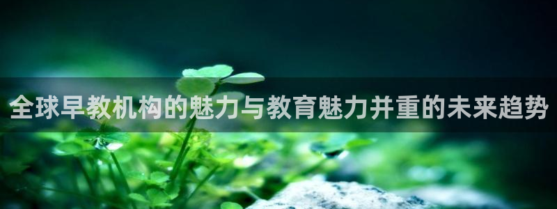 天狮娱乐挂机风险：全球早教机构的魅力与教育魅力并重的未来趋势