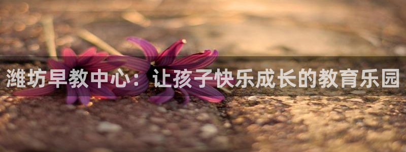 天狮学院娱乐设施有哪些：潍坊早教中心：让孩子快乐成长的教育乐园