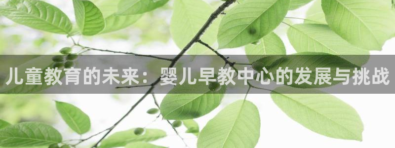 天狮娱乐怎么样：儿童教育的未来：婴儿早教中心的发展与挑战