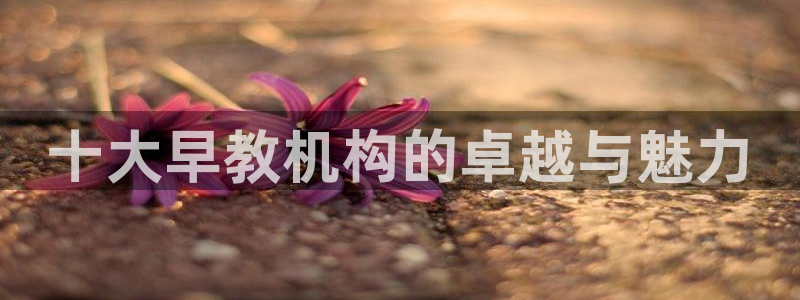 天狮娱乐代理制度：十大早教机构的卓越与魅力