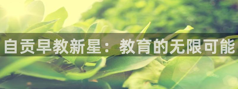 天狮娱乐平台注册官网：自贡早教新星：教育的无限可能