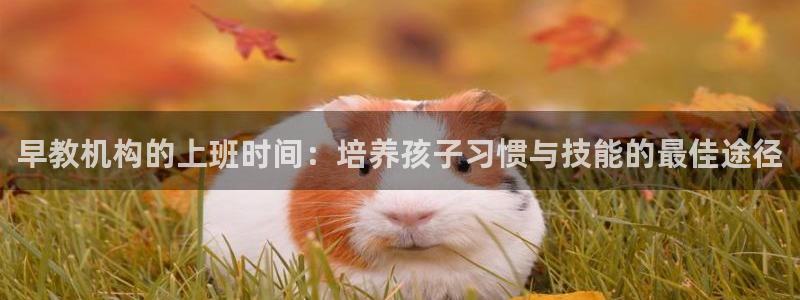 天狮娱乐 股s东50015：早教机构的上班时间：培养孩子习惯与技能的最佳途径