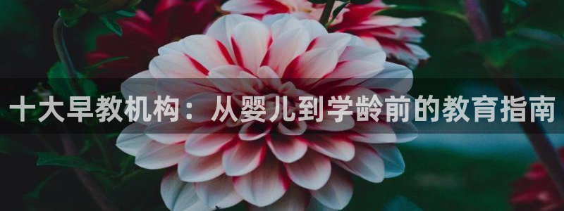 天狮娱乐彩票怎么玩：十大早教机构：从婴儿到学龄前的教育指南