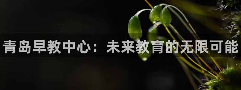 天狮娱乐是什么东西：青岛早教中心：未来教育的无限可能