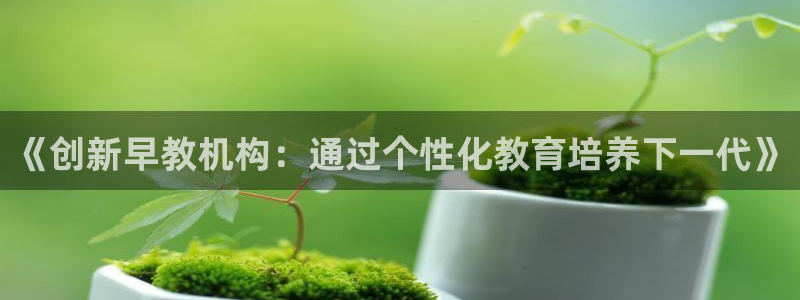 天狮娱乐招代理：《创新早教机构：通过个性化教育培养下一代》