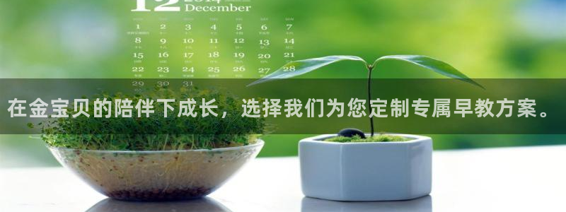 天狮娱乐湫33 300：在金宝贝的陪伴下成长，选择我们为您定制专属早教方案。