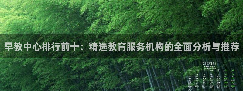 天狮娱乐指尖下：早教中心排行前十：精选教育服务机构的全面分析与推荐