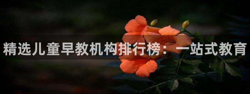 天狮娱乐资金安全吗：精选儿童早教机构排行榜：一站式教育