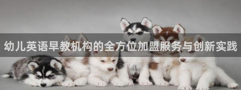 天狮娱乐61116：幼儿英语早教机构的全方位加盟服务与创新实践