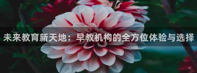 天狮娱乐 a主管60447：未来教育新天地：早教机构的全方位体验与选择