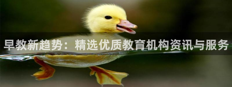 天狮娱乐平台登录：早教新趋势：精选优质教育机构资讯与服务