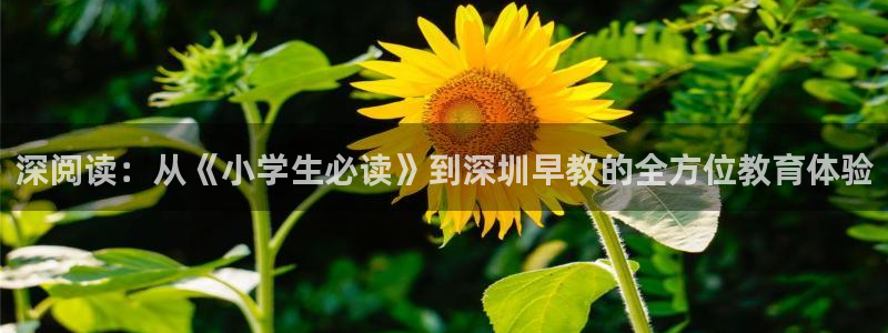 天狮娱乐1990：深阅读：从《小学生必读》到深圳早教的全方位教育体验