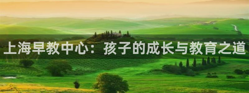 天狮娱乐注册开户：上海早教中心：孩子的成长与教育之道