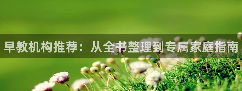 天狮娱乐 运营88383x：早教机构推荐：从全书整理到专属家庭指南