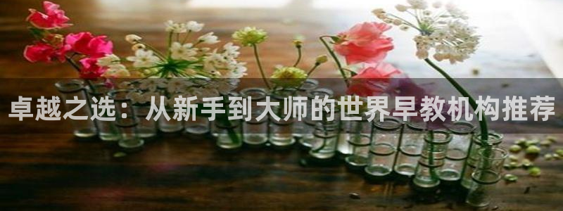 天狮娱乐股东代理：卓越之选：从新手到大师的世界早教机构推荐