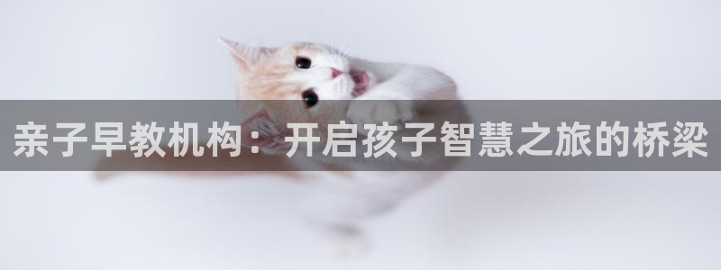 天狮娱乐如：亲子早教机构：开启孩子智慧之旅的桥梁